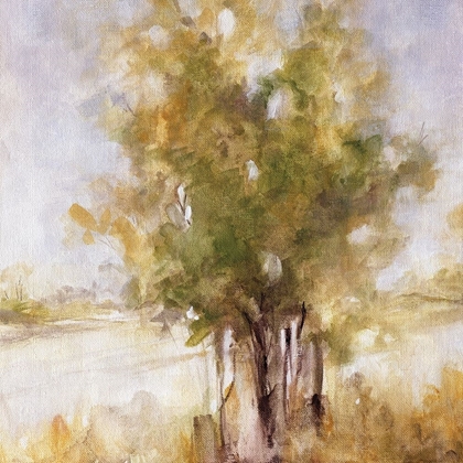 Picture of GENTLE GROVES I