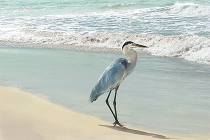 Picture of BEACH SET HERON