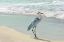 Picture of BEACH SET HERON