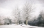 Picture of WINTER IS HERE