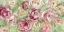 Picture of CLIMBING ROSE