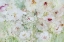 Picture of JARDIN BLANC