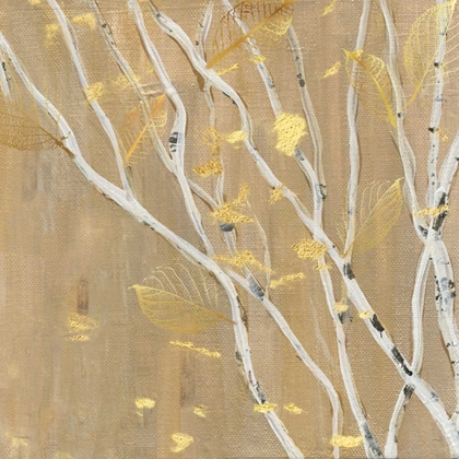 Picture of BIRCH WOOD I