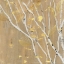 Picture of BIRCH WOOD I