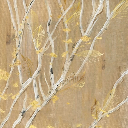 Picture of BIRCH WOOD II