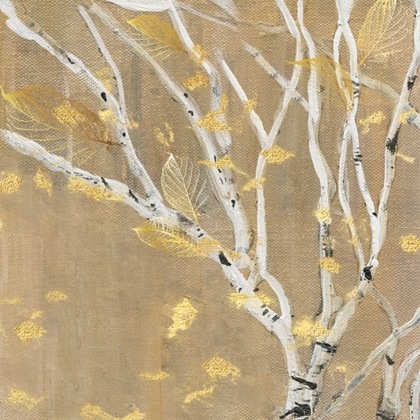 Picture of BIRCH WOOD III