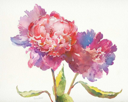 Picture of PRIZE PEONIES I