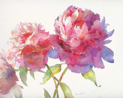 Picture of PRIZE PEONIES II