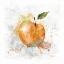 Picture of FRESH PEACH
