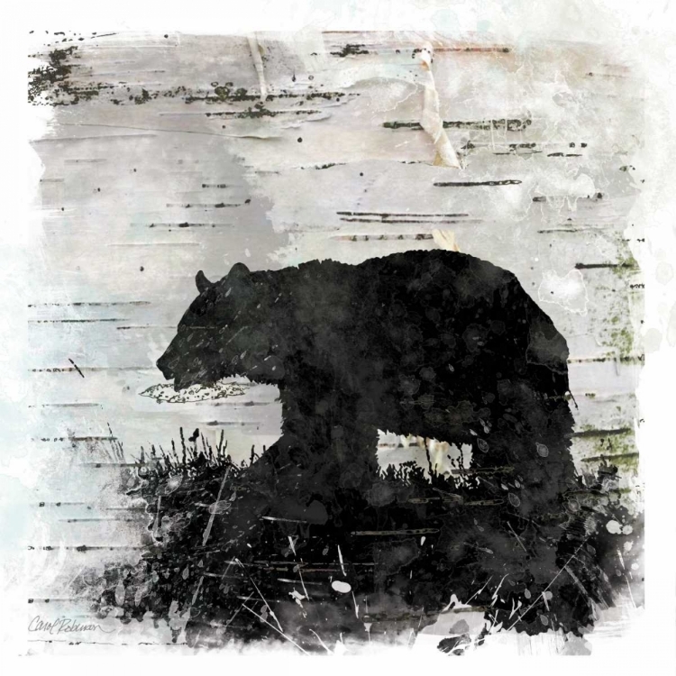 Picture of BIRCHBARK BEAR