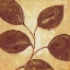 Picture of MARSALA MOMENT II
