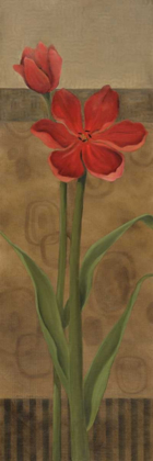 Picture of GEOMETRIC POPPY II