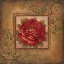 Picture of SACRED ROSE II