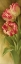 Picture of SPRINGS PARROT TULIP I