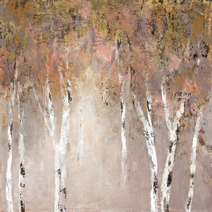 Picture of SUNLIT BIRCH I