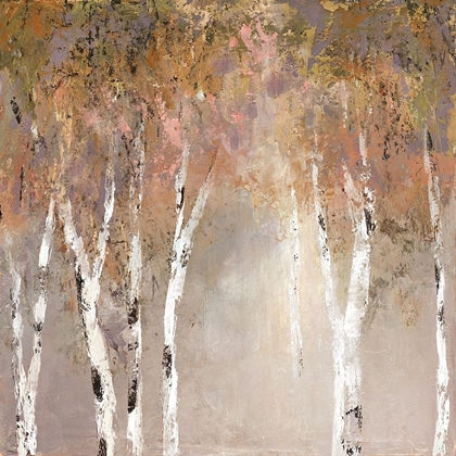 Picture of SUNLIT BIRCH II