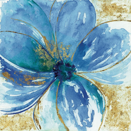 Picture of NIGELLA BLUE