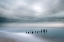 Picture of CAPE MAY