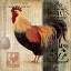 Picture of COCKEREL II