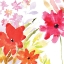 Picture of SPONTANEOUS BLOOMS II