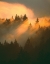 Picture of MORNING AMBER