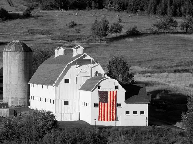 Picture of AMERICAN FARMHOUSE