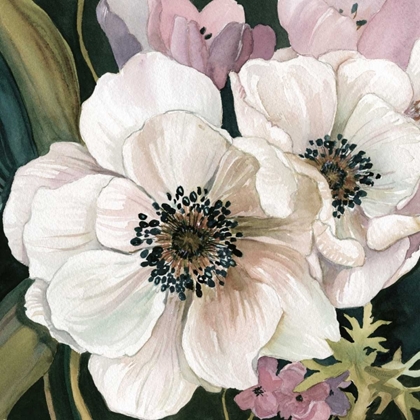 Picture of ANEMONE STUDY I