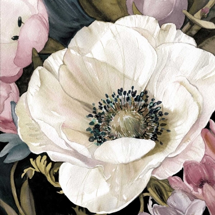 Picture of ANEMONE STUDY II