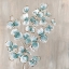 Picture of EUCALYPTUS II