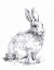 Picture of GARDEN HARE I
