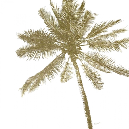 Picture of PALM BREEZE II