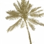 Picture of PALM BREEZE II