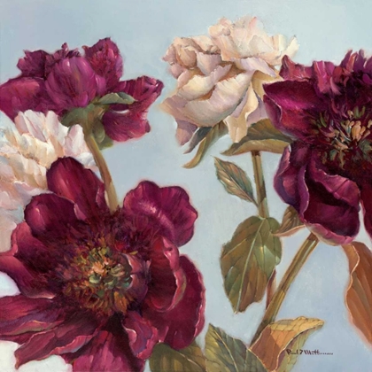 Picture of PEONY