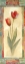 Picture of TULIP MONTAGE