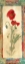 Picture of POPPY MONTAGE