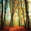 Picture of COLORFALL