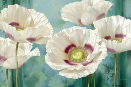 Picture of TASMANIAN POPPIES I