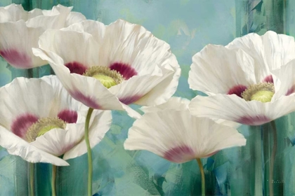 Picture of TASMANIAN POPPIES II