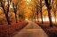 Picture of WELL TRAVELED