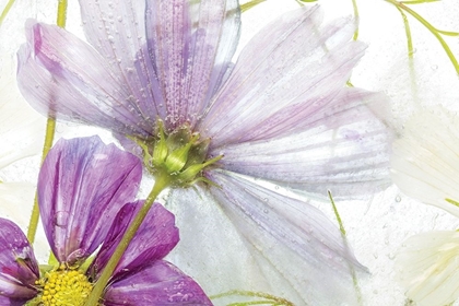 Picture of FROZEN FLORAL I