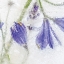 Picture of FROZEN FLORAL III