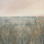 Picture of SUNSET MARSH