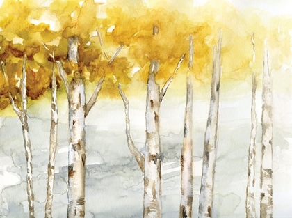Picture of GOLDEN TREES