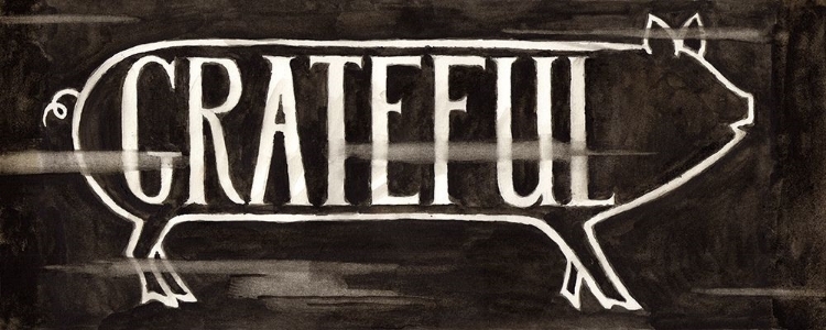 Picture of GRATEFUL PIG