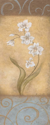 Picture of NOUVEL AMOUR II