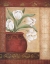 Picture of TULIP TEMPTATION I