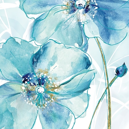 Picture of BLUE SPRING POPPY