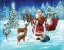 Picture of NORTH POLE