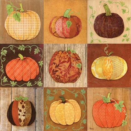 Picture of 9 PATCH PUMPKINS