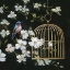 Picture of EVENING SONG II